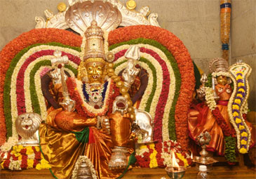Tirupati: ఘనంగా తాతయ్య గుంట గంగమ్మ జాతర