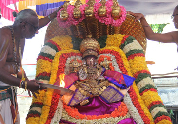 Tirupathi : చిన్న శేషవాహనంపై దర్శనమిచ్చిన గోవిందుడు
