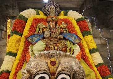 Tirupati : సింహ వాహనంపై దర్శనమిచ్చిన గోవిందుడు