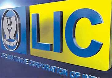 LIC Policy revival: రద్దయిన ఎల్‌ఐసీ పాలసీని ఎలా పునరుద్ధరించుకోవాలి?