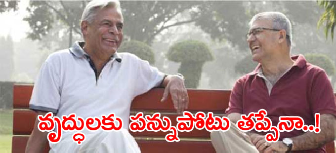 కొవిడ్ సమయంలో పెద్దలకు ఆసరా కొవిడ్ సమయంలో పెద్దలకు ఆసరా