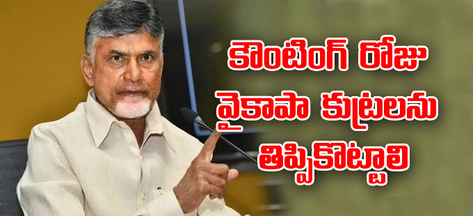 పార్టీ శ్రేణులకు చంద్రబాబు దిశానిర్దేశం