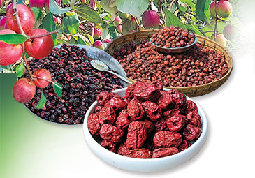 https://www.eenadu.net/telugu-article/sunday-magazine/plum-fruit-benefits-in-telugu/2/323000098