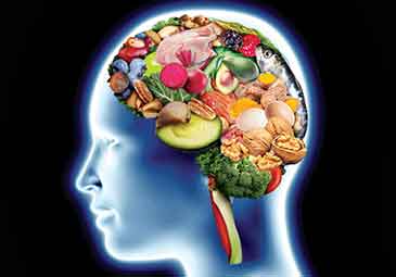 https://www.eenadu.net/telugu-article/sunday-magazine/here-these-foods-are-healthy-for-brain-and-memory/2/323000576