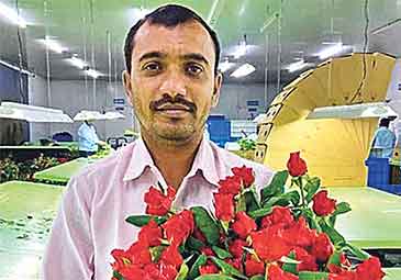 https://www.eenadu.net/telugu-article/sunday-magazine/flower-farming-changed-their-life-in-telugu/4/324000165