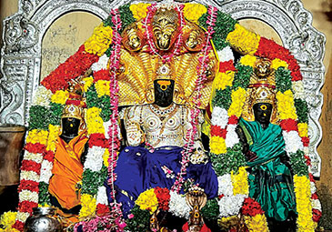 https://www.eenadu.net/telugu-article/sunday-magazine/significance-of-sri-naganatha-swami-temple-thirunageshvaram/3/324000606