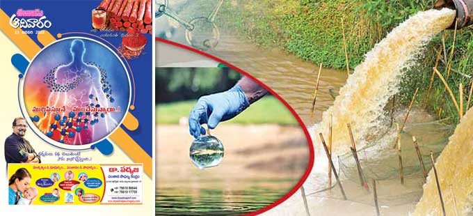 మురిపిస్తూనే... ముంచేస్తున్నాయి!