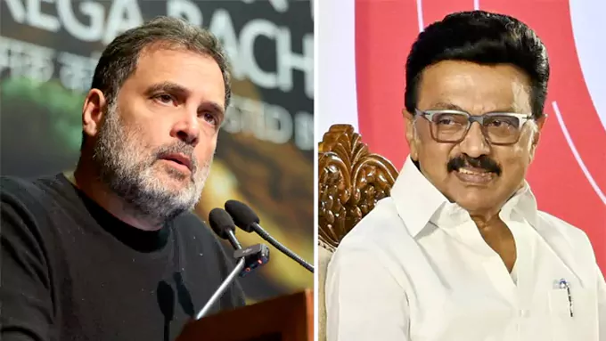 విష్ చేసిన స్టాలిన్ .. కలిసి పోరాడదామన్న రాహుల్