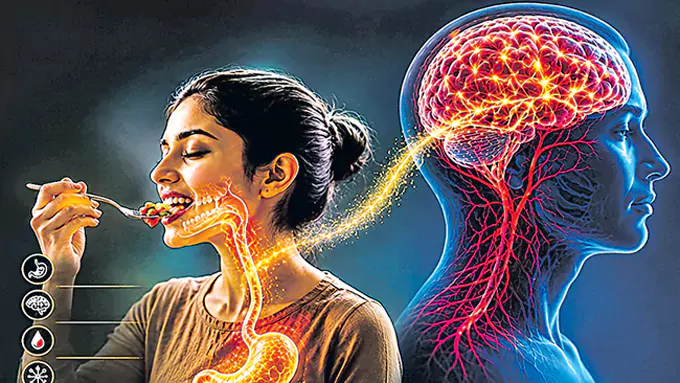 ఆహారాన్ని త్వరగా తింటున్నారా? – general ఆహారాన్ని త్వరగా తింటున్నారా? – general