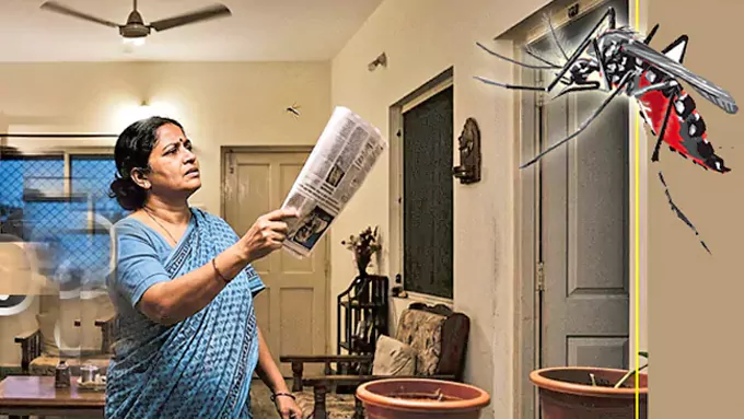దోమలతో ఇబ్బంది పడుతున్నారా?