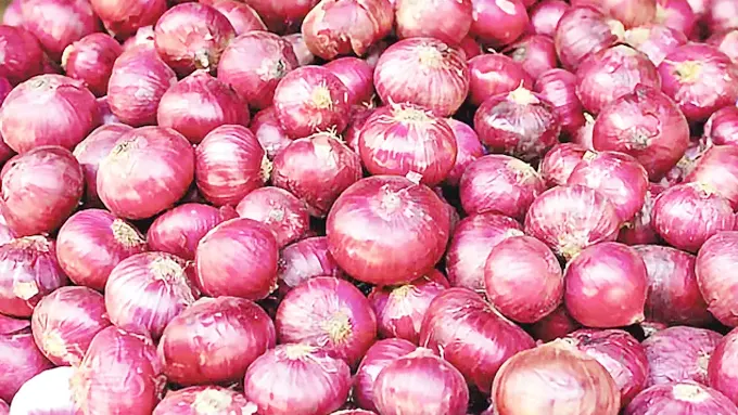 రూ.35కే కిలో ఉల్లి.. రేపటినుంచే విక్రయాలు – general రూ.35కే కిలో ఉల్లి.. రేపటినుంచే విక్రయాలు – general