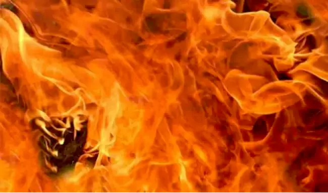 శ్రీ సిటీలో ప్రమాదం.. ఐదుగురు మృతి – general శ్రీ సిటీలో ప్రమాదం.. ఐదుగురు మృతి – general