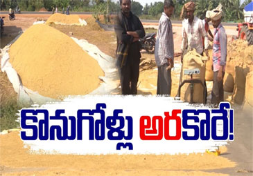 Grain Procurement: ధాన్యం సేకరణలో ప్రభుత్వం నిర్లక్ష్యం