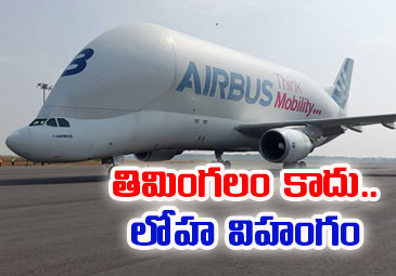 AirBus: హైదరాబాద్‌లో.. ప్రపంచంలోనే అతిపెద్ద కార్గో విమానం..!