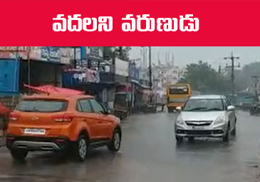 Andhra News: అనకాపల్లి జిల్లాలో విస్తారంగా వర్షాలు