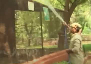 Kakatiya Zoo Park: ఎండ వేడిమిలో మూగజీవాల సంరక్షణకు ప్రత్యేక చర్యలు