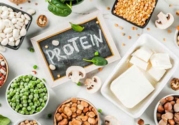 Protein Diet: అధిక బరువును తగ్గించే హై ప్రోటీన్‌ డైట్‌