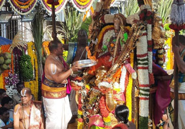 Tirumala Brahmotsavalu: హనుమంత వాహనంపై మలయప్పస్వామి అభయం