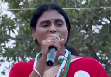 YS Sharmila: వైఎస్‌ విజయమ్మను సైతం అవమానించే స్థాయికి వైకాపా నేతలు దిగజారారు: షర్మిల