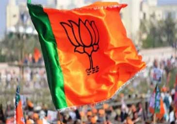 Lok Sabha Polls: లోక్‌సభ బరిలో రాజ్యసభ సభ్యులు.. భాజపా నుంచి పోటీ