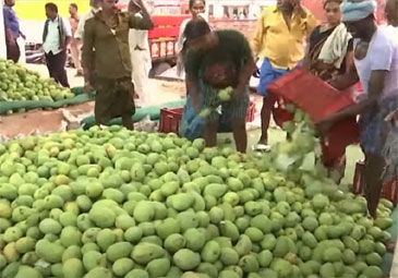 Mango Market: వ్యాపారం తగ్గి వెలవెలబోతున్న మామిడి మార్కెట్‌