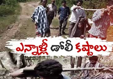 Andhra News: అల్లూరి జిల్లా మన్యంలో గిరిజనులకు తప్పని డోలీ కష్టాలు